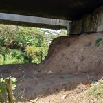 Dos entrenadores de Tico se enfrentan en una taza en Guatemala