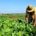 La aprobación permanente de la asignación de costos de los Ricans para el contrabando de drogas y el terrorismo se espera para la próxima semana.