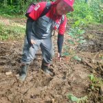 El sector agrícola impulsa la generación de empleo en Colombia