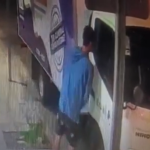 Descubra al asistente de «Machillo» que reside en la casa.