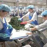 Las autoridades están en busca de menores