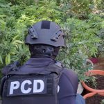 ICE responde al informe del controlador: ‘Medidas urgentes’ Evite el racionamiento y las tasas estabilizadas