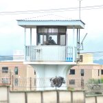 Costaika – Dominicana viene … pero no todos pueden verlo

 – El nacional cr