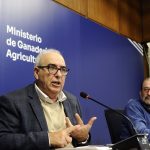 Conductor ebrio para borracho con maniobras peligrosas

 – El nacional cr