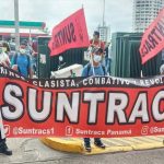 Oij agarra las especies de caza en locales comerciales

 – El nacional cr