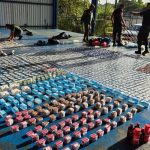 La habitación IV declara una gestión inconstitucional de Gandoca-Manzanillo y canceló

 – El nacional cr