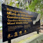 Confiscaron más de 34 mil medicamentos ilegales en la ruta

 – El nacional cr
