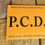 Tensiones en Europa después de un acuerdo con los EE. UU.: Euro y bolsas caen

 – El nacional cr