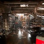 “El ambiente está muy contaminado”

 – El nacional cr