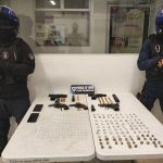 Reportan angustia por las abejas en Santa Ana

 – El nacional cr