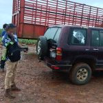 La alfombra de la vida salvaje está buscando grupos voluntarios

 – El nacional cr
