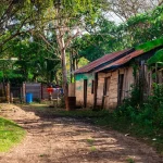 Fiscalía recibe segunda denuncia contra directora del OIJ por presunto delito sexual
 – El nacional cr