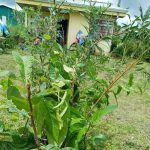 Manuel Morales sugiere convertir residuos en energía limpia ante la crisis de los vertederos
 – El nacional cr