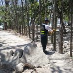 Cierre de barbería y quiosco tras operativo en Cartago

 – El nacional cr