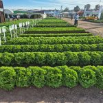 Conare condena amenazas contra la UCR y el TEC, y exige investigación

 – El nacional cr