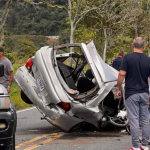 Patricia Navarro obligada a dar marcha atrás tras difamar a empresario turístico

 – El nacional cr