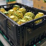 La violencia homicida se consolida como epidemia y profundiza las desigualdades territoriales

 – El nacional cr