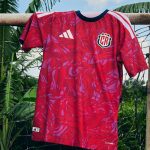 ICE recibe préstamo de $200 millones del BID para modernizar el sistema eléctrico nacional

 – El nacional cr