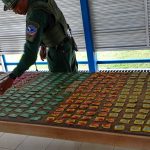 Bomberos de Costa Rica advierten sobre riesgos de nueva ruta del Festival de la Luz

 – El nacional cr