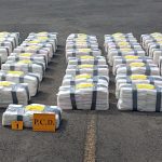 La destacada influencer “lloró” la abolición de La Selle

 – El nacional cr