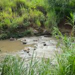 Buenas noticias para el portero mexicano Keylor Navas

 – El nacional cr