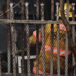 ICE recibe préstamo de $200 millones del BID para modernizar el sistema eléctrico nacional

 – El nacional cr