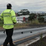 Palmeras y Flamengo, listos para una nueva final de la Libertadores

 – El nacional cr
