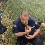 Intervienen finca y envían a 22 extranjeros de regreso a Panamá

 – El nacional cr