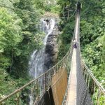 El Parlamento puede continuar el proceso acelerado los días 4 y 3 siguiendo las consultas obligatorias

 – El nacional cr