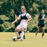 PLN exige al gobierno que no anuncie ninguno de sus proyectos en las sesiones extraordinarias del parlamento |

 – El nacional cr