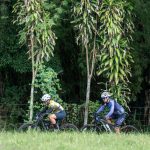 Costa Rica lidera la conservación con tecnología EarthRanger para monitoreo de vida silvestre

 – El nacional cr