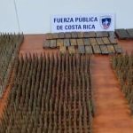 TSE rechaza llamado del PLN para acceder a deuda política

 – El nacional cr