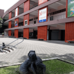 Víctima sufre fractura de columna tras disparo

 – El nacional cr