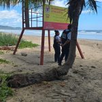 Los peajes de la ruta 27 ajustarán tarifas a partir del 1 de enero de 2026

 – El nacional cr