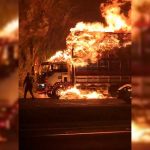 ¿Seguirá Jefferson Brenes en Saprissa?

 – El nacional cr