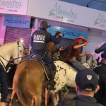 Rodrigo Chaves es la figura política del 2025

 – El nacional cr