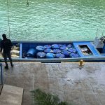 Zamora condena “guerra burocrática” contra productores por nueva normativa sobre transporte de ganado

 – El nacional cr