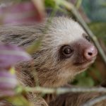 Contraloría resuelve recurso en Torre de la Esperanza

 – El nacional cr