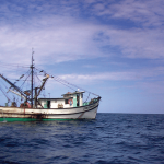 Víctima de fatal accidente fue sargento de la Fuerza Pública

 – El nacional cr