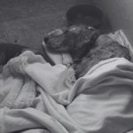 Hombre en condición roja tras ataque armado en Liberia

 – El nacional cr