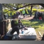 Alonso Martínez es el MVP del New York City FC

 – El nacional cr