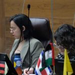 El TSE ha avergonzado al país al hacer una interpretación arbitraria y caprichosa de la Constitución

 – El nacional cr