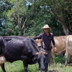 Andrea Álvarez explica que Marta Esquivel ya fue notificada por correo electrónico y la acusa de victimizarse

 – El nacional cr