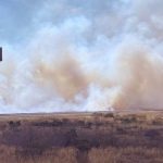 Senegal reina en África tras derrotar a Marruecos

 – El nacional cr