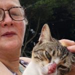 Chaves pide disculpas a Bukele por “falta de respeto” del TSE

 – El nacional cr