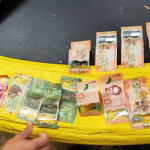 “Innecesario”, “inusual” y “extraño”; Así ven los diputados la designación de Laura Fernández como ministra de la Presidencia.

 – El nacional cr