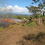 El “café de la tarde” y el turismo provocan demanda de electricidad en zonas rurales de Costa Rica

 – El nacional cr