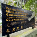 “No crean en los cuentos fantásticos”: Otto Guevara niega que será ministro de Medio Ambiente

 – El nacional cr