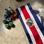 Así resguardaron la casa donde el perro mató al joven

 – El nacional cr