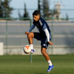 Cruz Roja atiende a 18 niños por ataque de abejas

 – El nacional cr